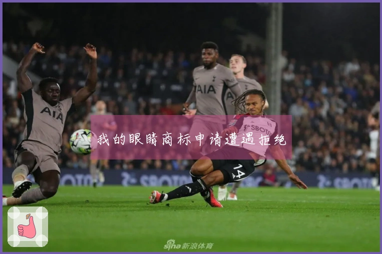 我的眼睛商标申请遭遇拒绝