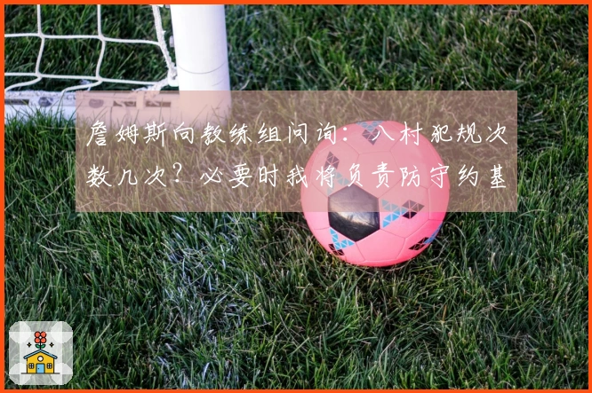 詹姆斯向教练组问询：八村犯规次数几次？必要时我将负责防守约基奇